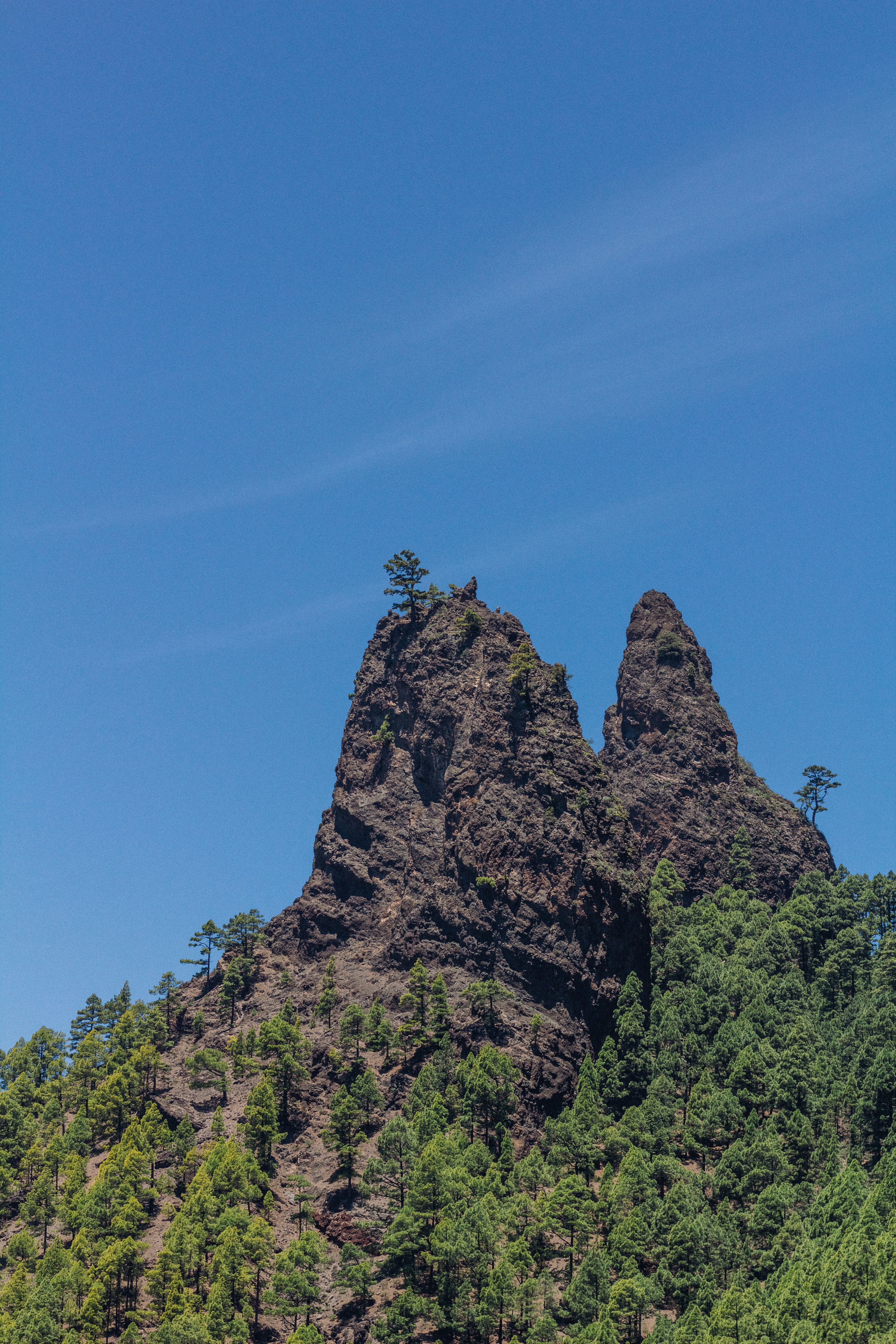 rocky and plant mountain during day